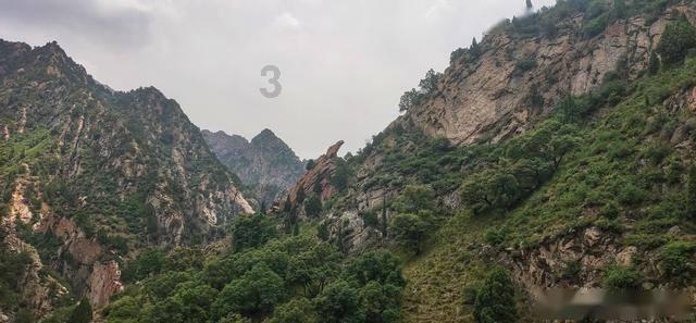 收评：北向资金买入15.1亿元，沪股通净买入19.15亿元